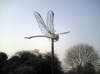 Dragonfly Sculptor